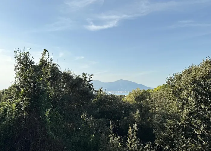 Maisonnette Vue Résidence Porticcio Hébergement de vacances Grosseto-Prugna